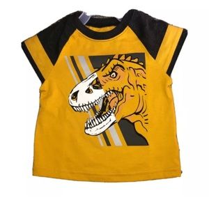 Baby Boy 18m Short Sleeve Graphic Dinosaur T-Shirt New 🦕🦖